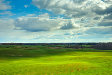 Spring Rolling Green Hills With Fields Of Wheat.