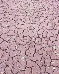 dry cracked earth