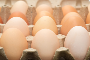  chicken eggs in an open cardboard box with eggs. Fresh chicken eggs background. close-up