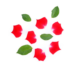 Red rose petals with leaves on white background