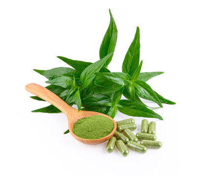 Kariyat,Andrographis paniculata leaf and capsule on white background