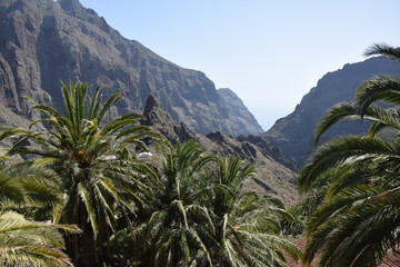 Fototapeta na wymiar Teneryfa, Wyspy Kanaryjskie, Teide, La Masca