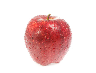 Red apple on white background