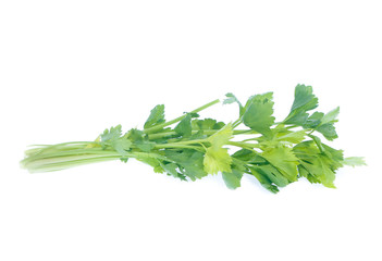 Celery isolated on a white background