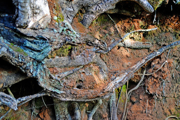 lobster pots on the ground