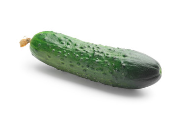 Green cucumber on white background