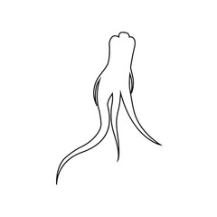 ginseng logo