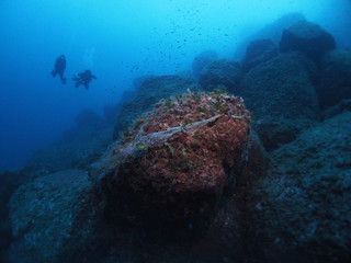 Scuba Diving Malta Gozo Comino