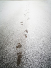 Prints of a man's shoes in the snow.
