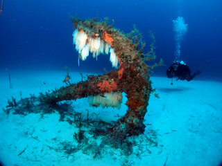 Scuba Diving Malta Gozo Comino