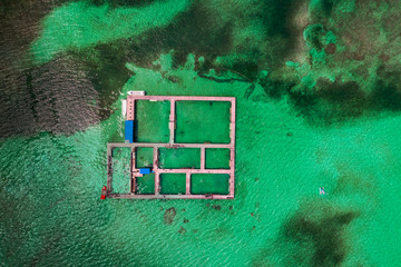Dolphins, sharks, stingray in caribbean sea pool park. Swimming with fish. Aerial view
