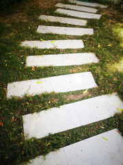A trail of white stone in the park.
