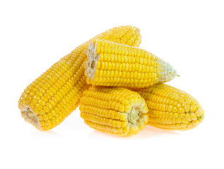 Corn on white background