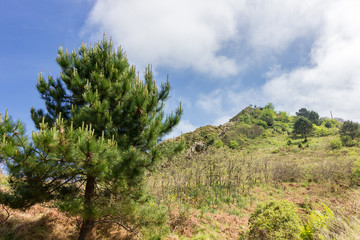 View of the sea between Donostia and Pasaia in the Basque Country
