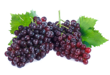red grapes  isolated on white