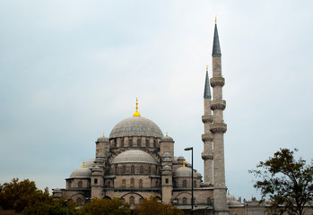 Fototapeta na wymiar mosque in istanbul turkey