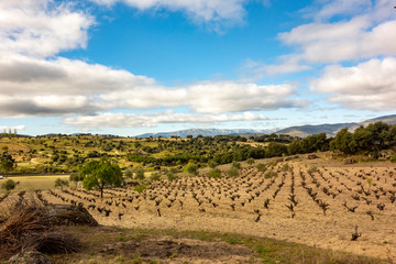 Fototapeta na wymiar Landscape with far view of mountains near San Bartolome de Pinares on Saint James way, Camino de Levante from Toledo to Avila in Spain