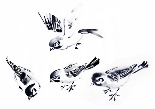Four sparrows in black ink
