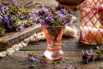 Fresh ground-ivy flowers in a vase on a table