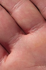 Macro detail of hand and fingers of white man.