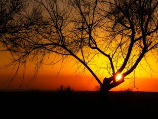 Atardece