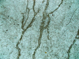 
The concrete wall of the building. Blurred defocused background for web design.