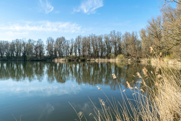 Sunny calm spring evening  landscape with blue sky and reflections in blue water of lake in the nature reserve Wilgenbos Almere de Vaart. Beautiful  autumn landscape.