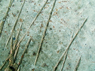 
The concrete wall of the building. Blurred defocused background for web design.