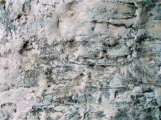 
The concrete wall of the building. Blurred defocused background for web design.