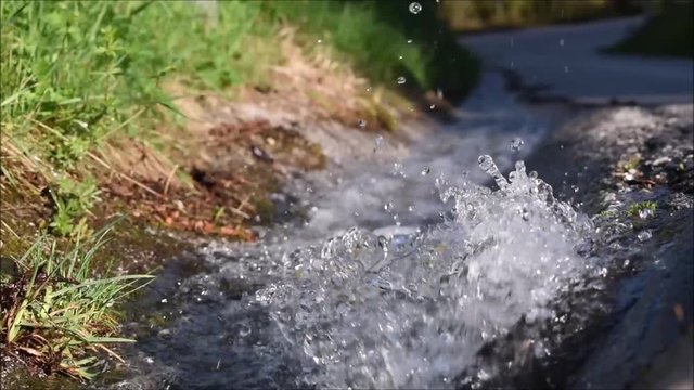 Ablauf an der Stra&szlig;e mit gr&uuml;ner Vegetation am Stra&szlig;enrand, Trinkwasserabfluss 