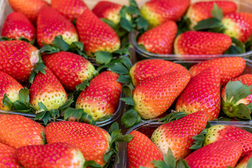 Ripe red strawberries closeup. Strawberries packed in plastic containers. Street food market
