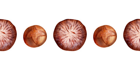 Watercolor seamless border with images of bakery products. Loaves, loaves, loaves and rolls