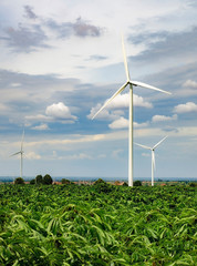 Wind turbine generators