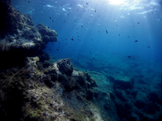 Scuba Diving Malta Gozo Comino