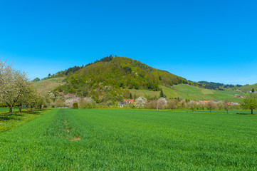 Agricultural land near Ortenberg