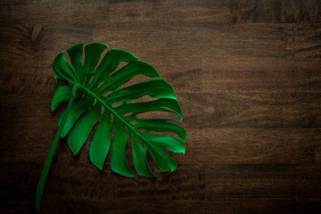 Monstera leaf top view philodendron leaf pattern on old wooden table background, copy space © Nabodin