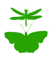 Isolated on white vector silhouettes of butterfly and dragonfly