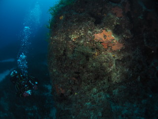 Scuba Diving Malta Gozo Comino