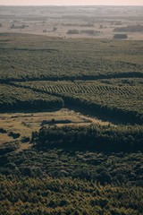 Naklejka premium Vacaciones en Uruguay