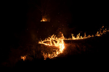 flame of fire that burning dried grass on the rice field at night