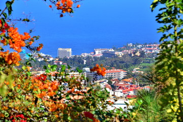 Teneriffa,#0680