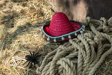 cowboy hat on the hay, next to a rope, rope, cowboy composition, a huge spider