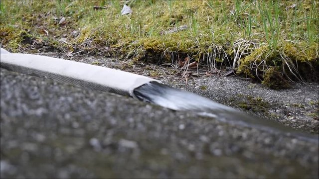 Trinkwasser wird aus Wassertank abgelassen, Trinkwasserverlust, Wasserschlauch
