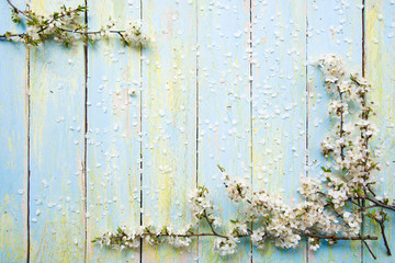 blooming cherry twigs in defocus on a light blue wooden background with shabby paint and ripples with blur