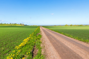 Dirt road to the horizon across the fields