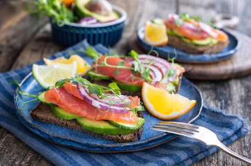 Sandwiches with red fish and vegetables on a blue plate.