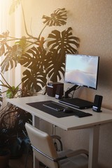 Home workplace during quarantine time with stand table and with homeplants insid