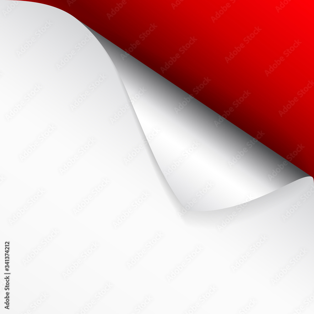 Poster paper page with curled corner and shadow. template for your design. set. vector illustration