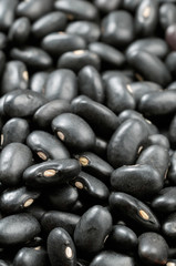 A close up of a pile of raw uncooked black beans.