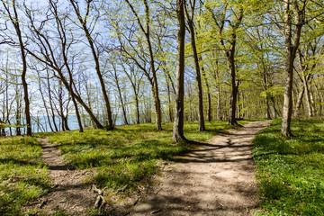 Rad- Wanderweg in der Goor, Lauterbach auf Rügen
